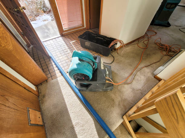 Bridgeport, AL Water damage restoration Company