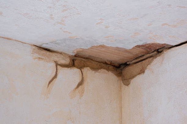 Best Flood restoration services  in Bridgeport, AL