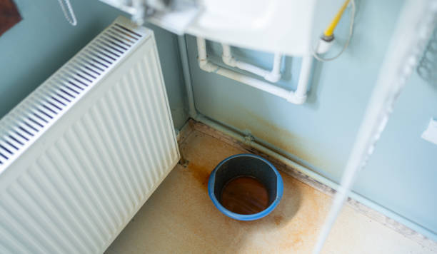 Best Ceiling water damage repair  in Bridgeport, AL