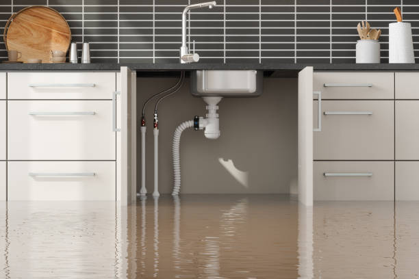 Best Emergency water damage restoration  in Bridgeport, AL