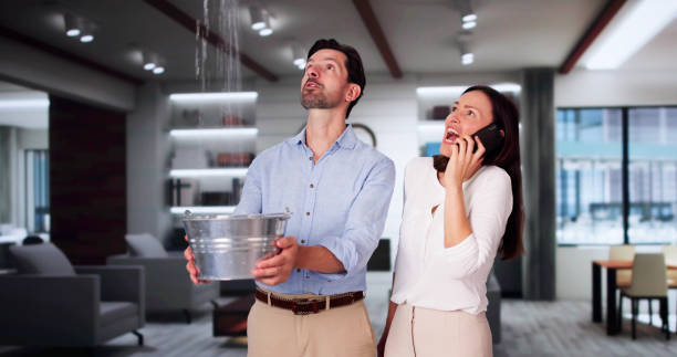Best Flood damage cleanup  in Bridgeport, AL