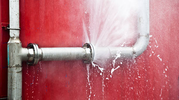 Best Residential water damage restoration  in Bridgeport, AL